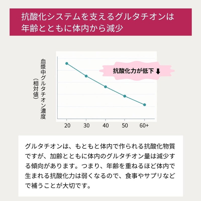 抗酸化システムを支えるグルタチオンは年齢とともに体内から減少