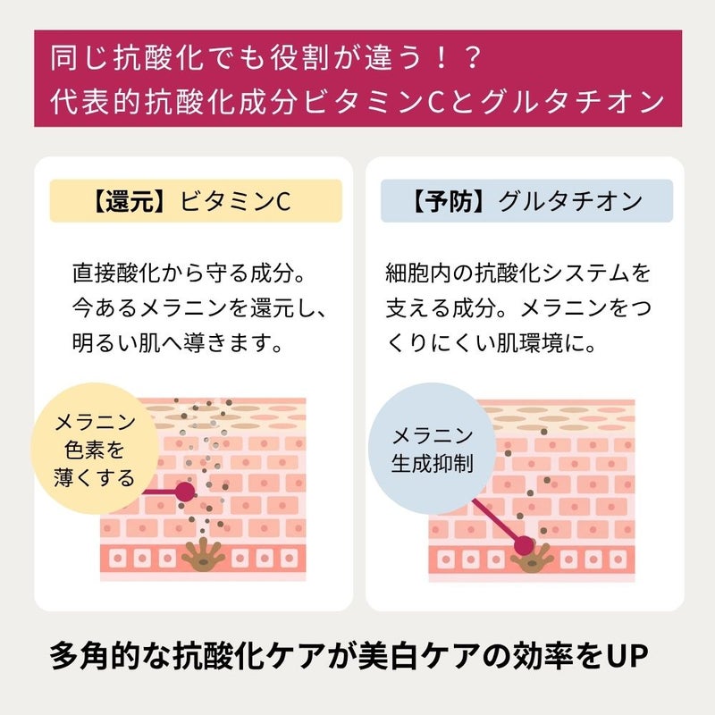 グルタチオンは細胞内の抗酸化システムを支え、メラニンをつくりにくい肌環境に